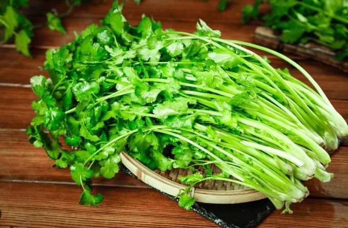 香菜料理推薦 香菜料理推薦