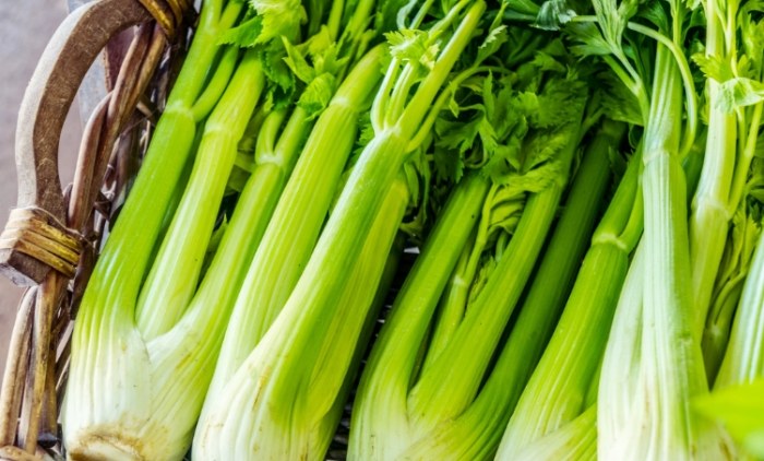芹菜禁忌