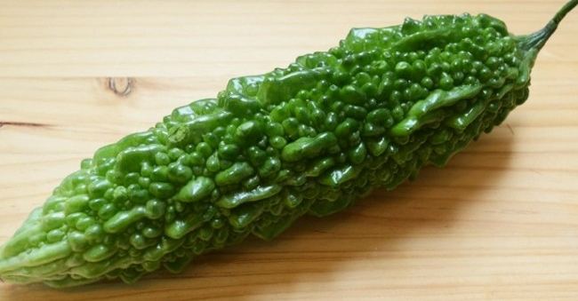 山苦瓜