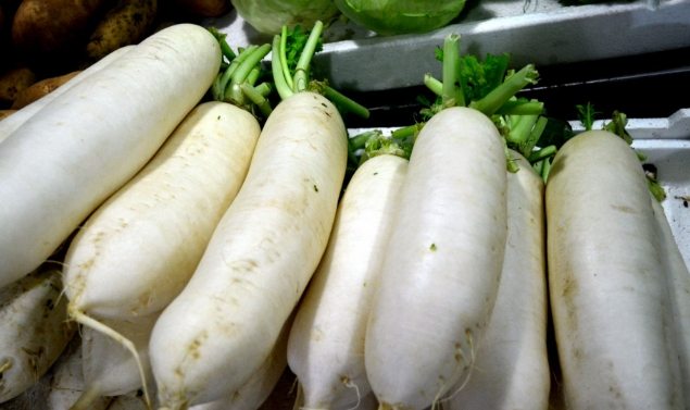 蘿蔔料理